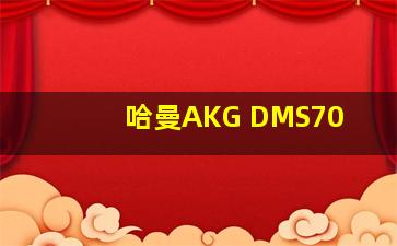 哈曼AKG DMS70